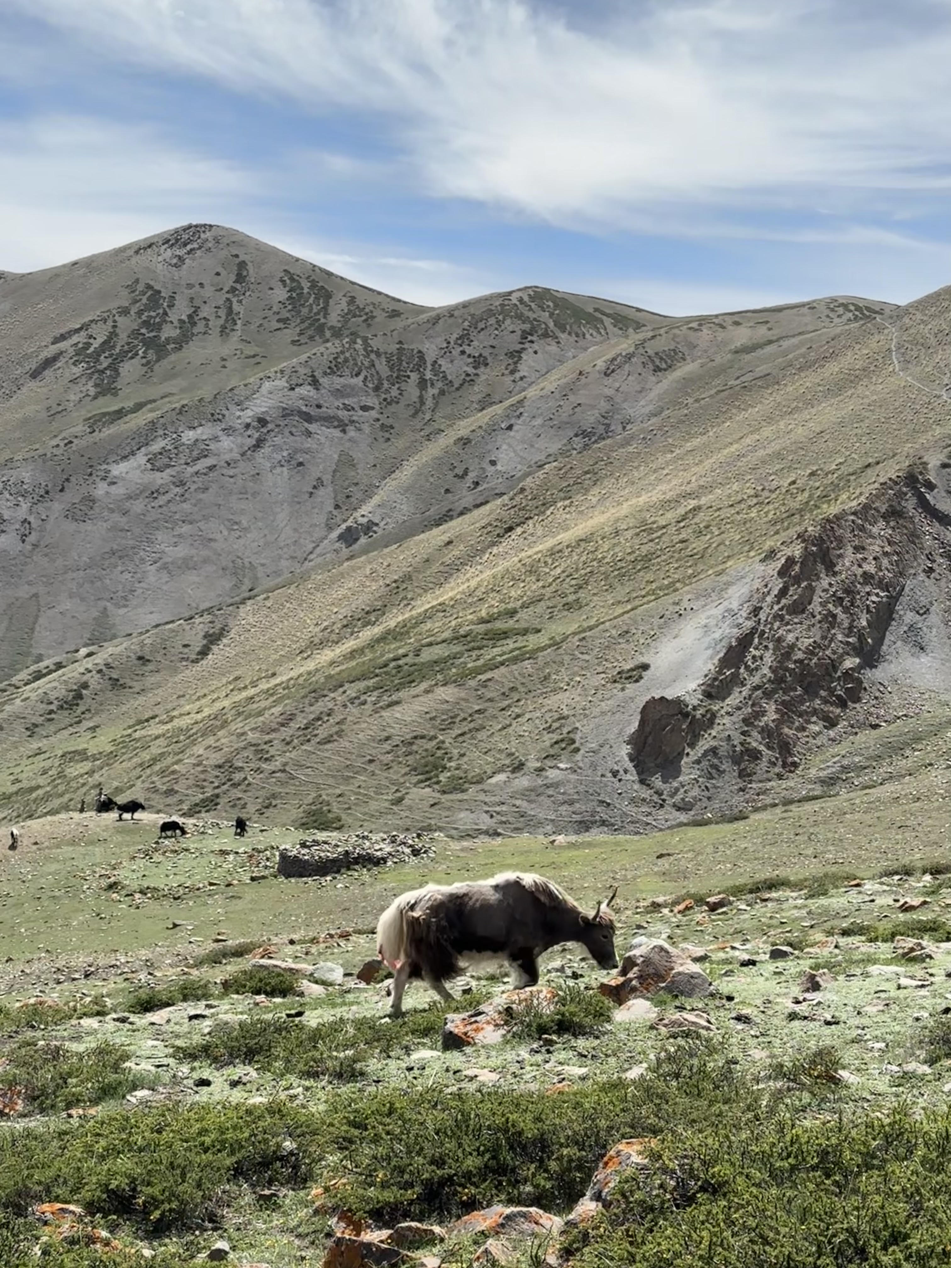 HIGH PASSES TREK FROM STOK TO LATO